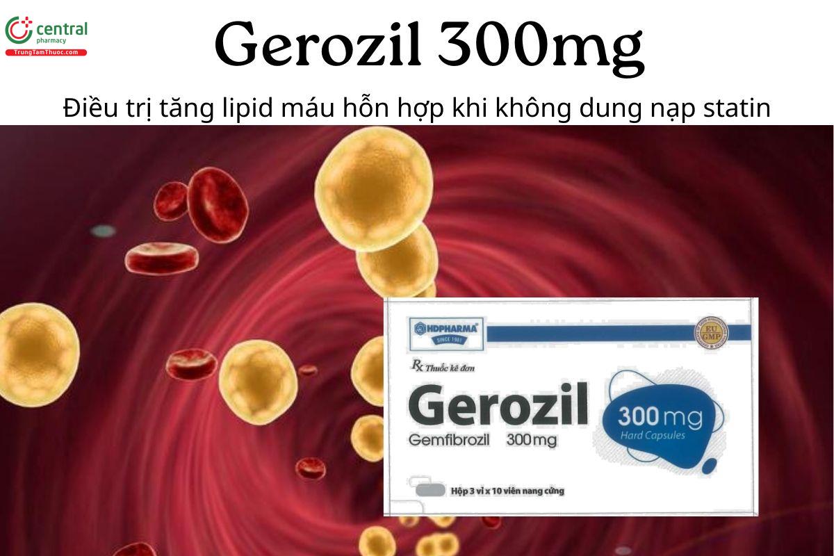 Thuốc Gerozil 300mg - Điều trị tăng lipid máu hỗn hợp khi không dung nạp statin