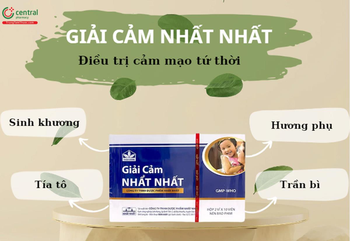 Thuốc Giải Cảm Nhất Nhất - Giảm nhanh đau đầu, nhức mỏi trong cảm mạo