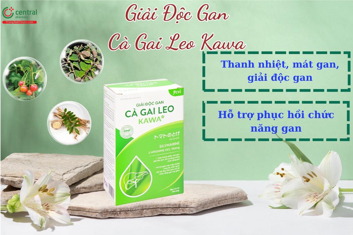 Giải Độc Gan Cà Gai Leo Kawa - Thanh nhiệt, mát gan, giải độc gan