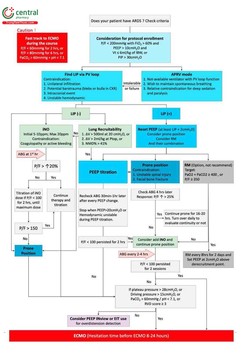 Hình 1. Sơ đồ quy trình của một bệnh nhân mắc hội chứng nguy kịch hô hấp cấp tính (ARDS). ABG: khí máu động mạch, APRV: thông khí giải phóng áp lực đường thở, ECMO: oxygen hóa qua màng ngoài cơ thể, EIT: chụp cắt lớp trở kháng điện, hrs: giờ, IBW: cân nặng lý tưởng, iNO: oxit nitric hít vào, LIP: điểm uốn dưới, NMD: khoảng cách tối đa chuẩn hóa giữa nhánh bơm phồng và nhánh xả hơi của đường cong áp lực thể tích, PEEP: áp lực dương cuối kỳ thở ra, P/F: PaO2/FiO2, PIP: áp lực hít vào đỉnh, Ptop: giữ ở mức 35-40 cm H2O trong 5-15 giây, vòng lặp PV: vòng lặp áp lực-thể tích hệ hô hấp bán tĩnh, RVD: rối loạn chức năng thất phải, RM: thủ thuật huy động, AV: chênh lệch thể tích giữa nhánh bơm phồng và nhánh xả hơi, ↑: tăng.