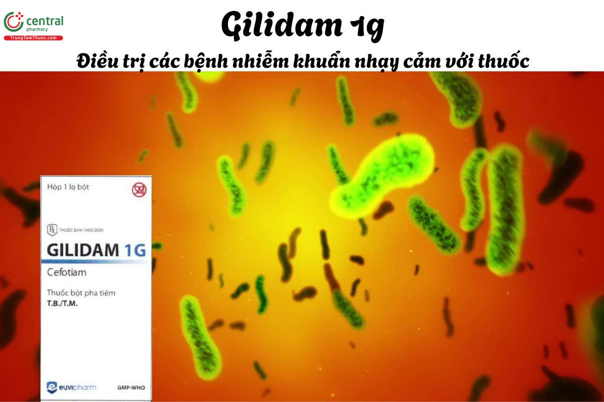 Thuốc Gilidam 1g - Điều trị các nhiễm khuẩn đường hô hấp dưới, tiết niệu