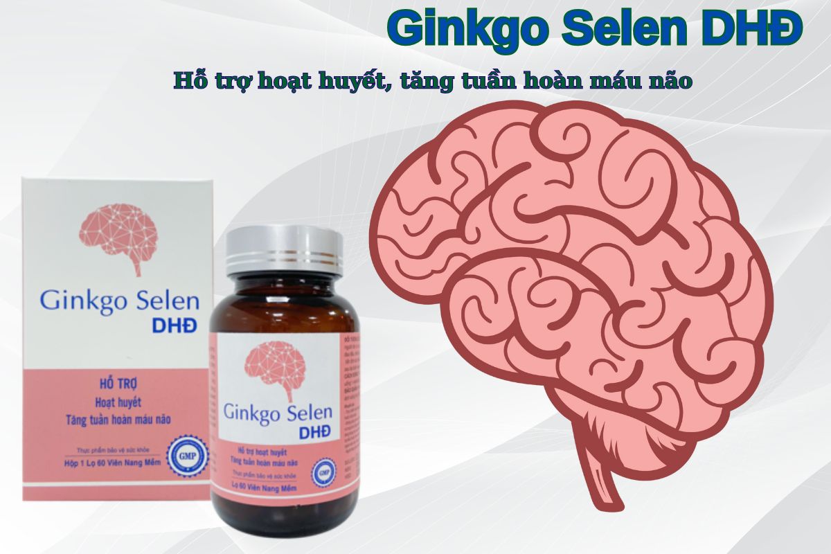 Viên uống Ginkgo Selen DHĐ giúp tăng cường tuần hoàn máu não