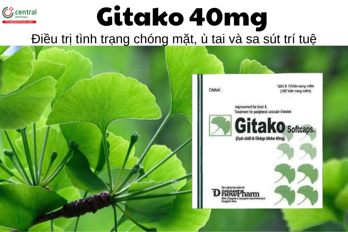 Thuốc Gitako 40mg - Điều trị tình trạng chóng mặt, ù tai và sa sút trí tuệ