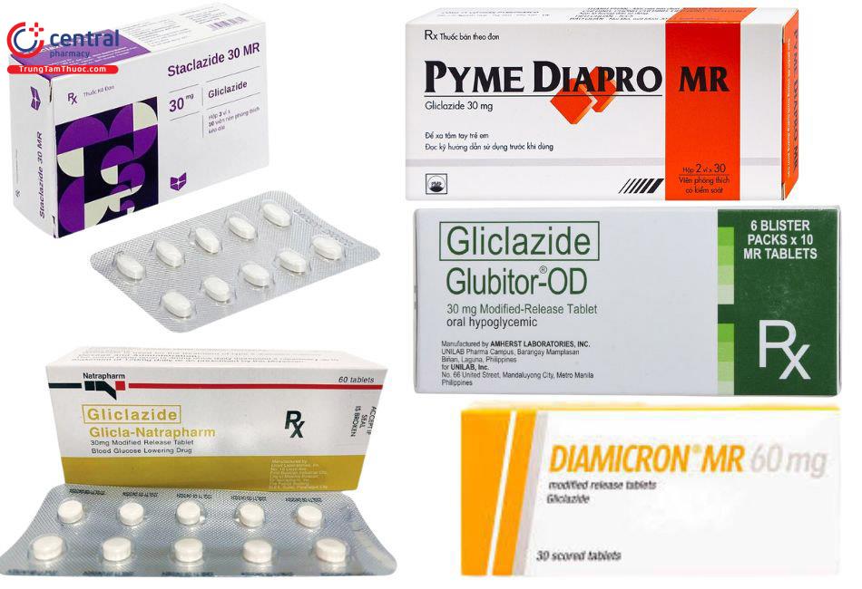 Các thuốc chứa Gliclazide