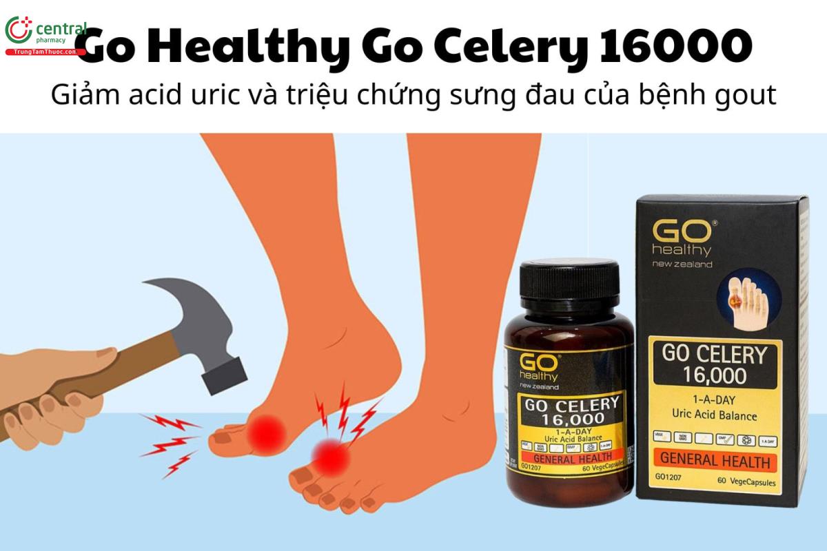  Go Healthy Go Celery 16000 - Giảm acid uric và triệu chứng sưng đau của bệnh gout