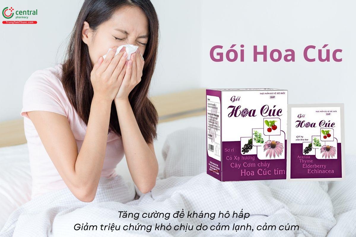Gói Hoa Cúc