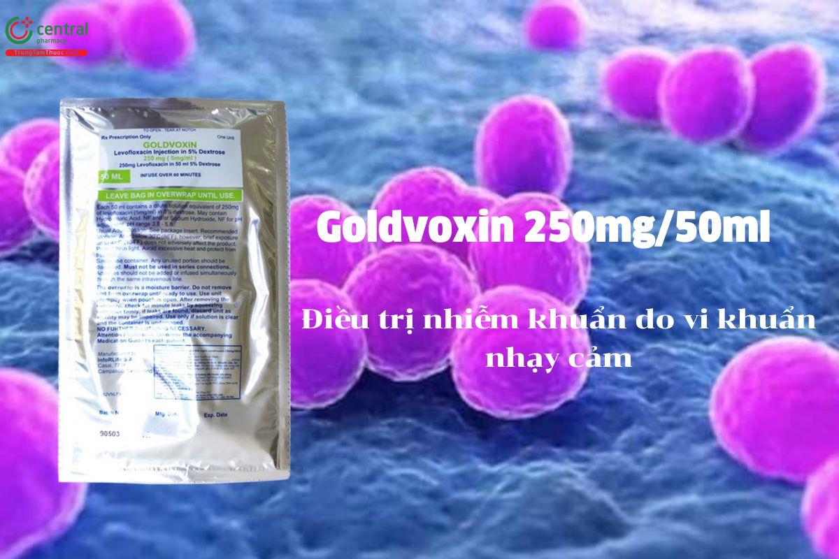 Thuốc Goldvoxin 250mg/50ml - điều trị nhiễm khuẩn do vi khuẩn nhạy cảm