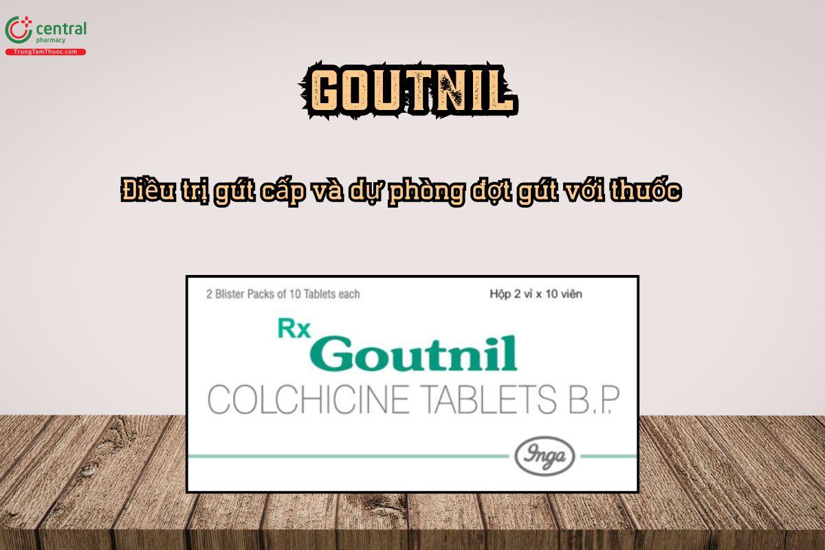 Điều trị gút cấp và dự phòng đợt gút với thuốc Goutnil 500mg 