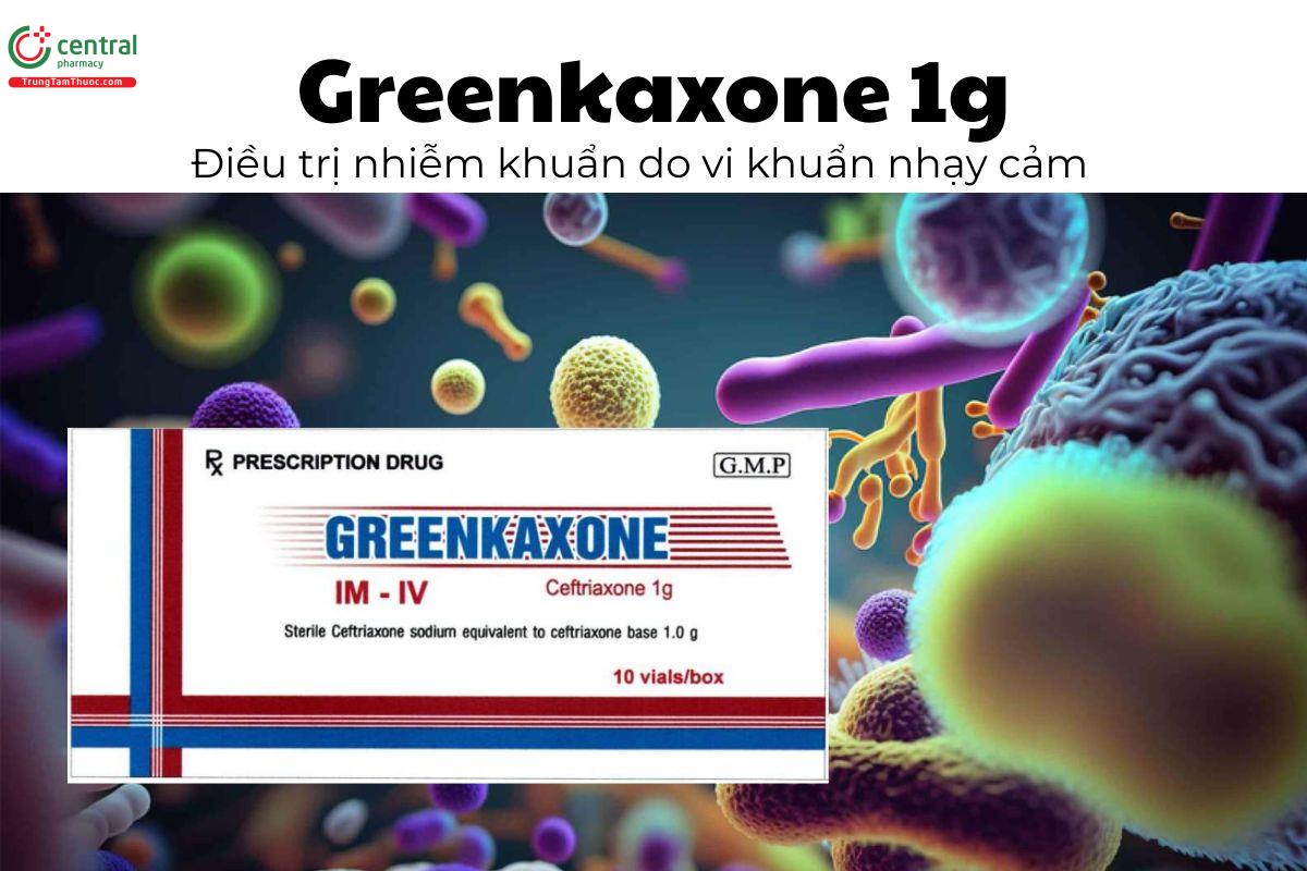 Thuốc Greenkaxone 1g - Điều trị nhiễm khuẩn do vi khuẩn nhạy cảm