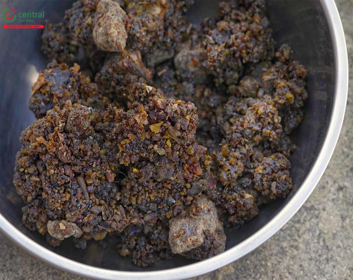 Gum Guggul (Commiphora mukul) - hỗ trợ làm giảm đường huyết, hạ mỡ máu