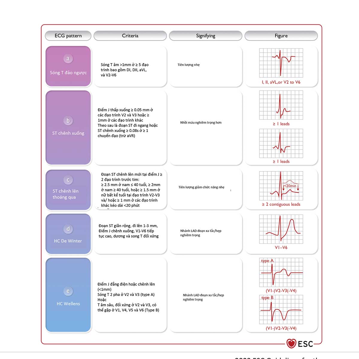 Khuyến cáo của Hội tim mạch Châu Âu (ESC) về 'Hội chứng vành cấp'