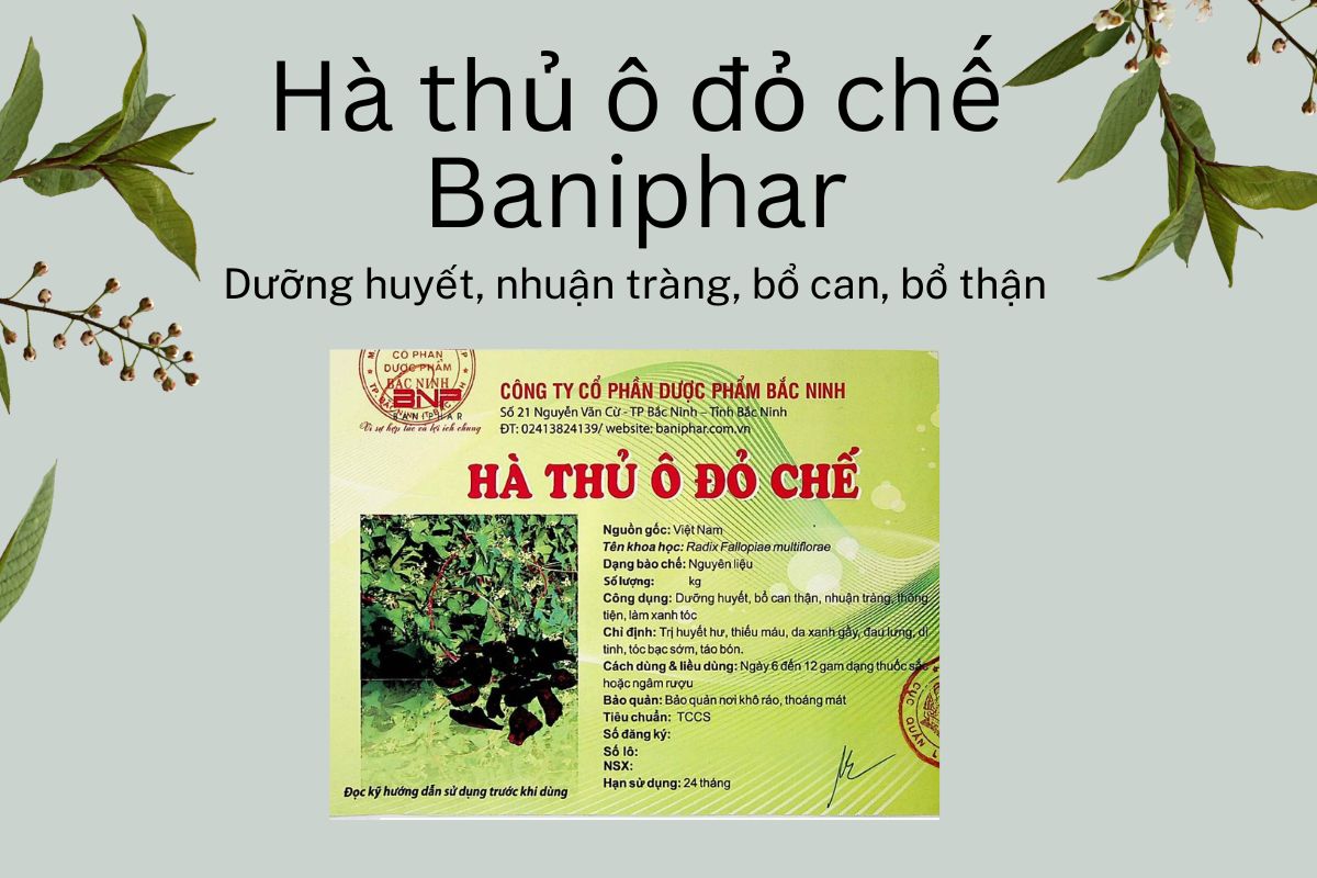 Hà thủ ô đỏ chế Baniphar
