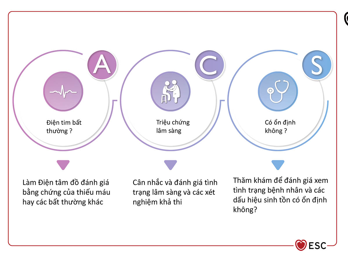 Hình 5 Đánh giá A.C.S để lượng giá ban đầu BN nghi ngờ HCVC