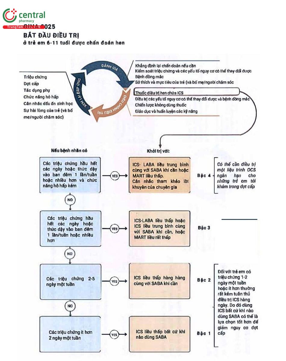 Hình 4: Điều trị hen ban đầu ở trẻ em 6-11 tuổi
