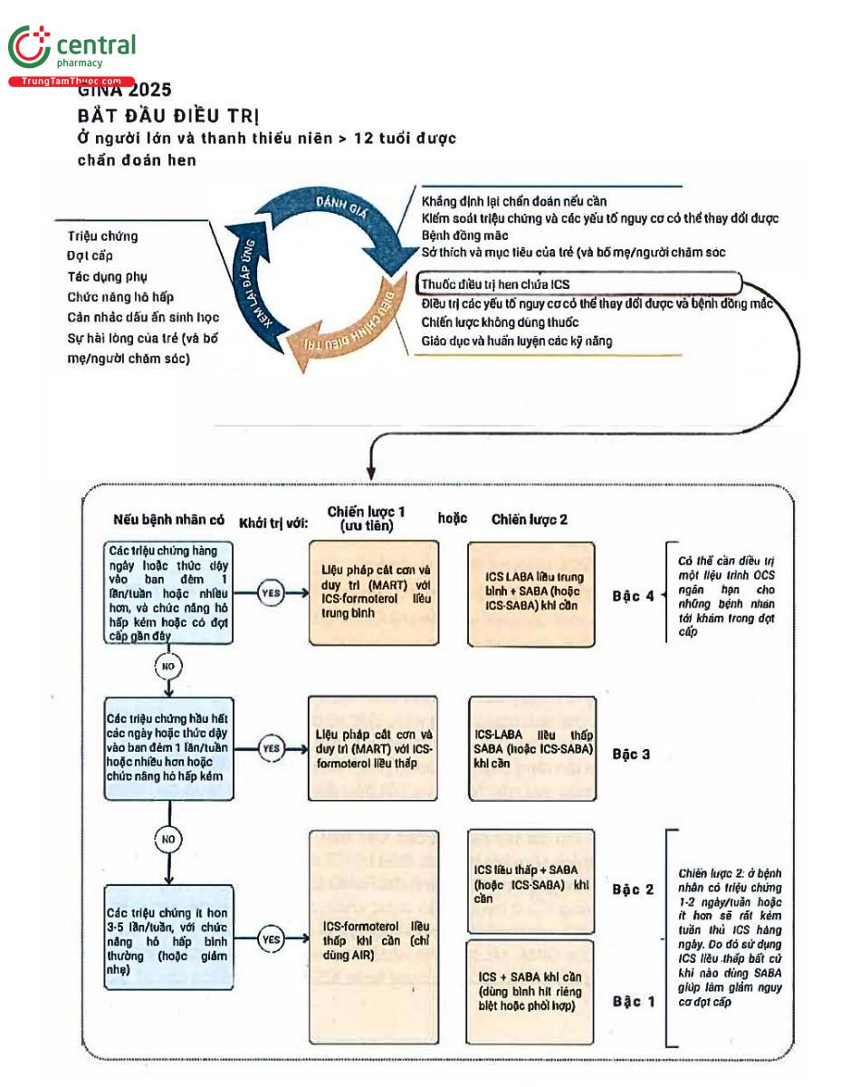 Hình 2: Điều trị hen ban đầu cho người lớn và thanh thiếu niên
