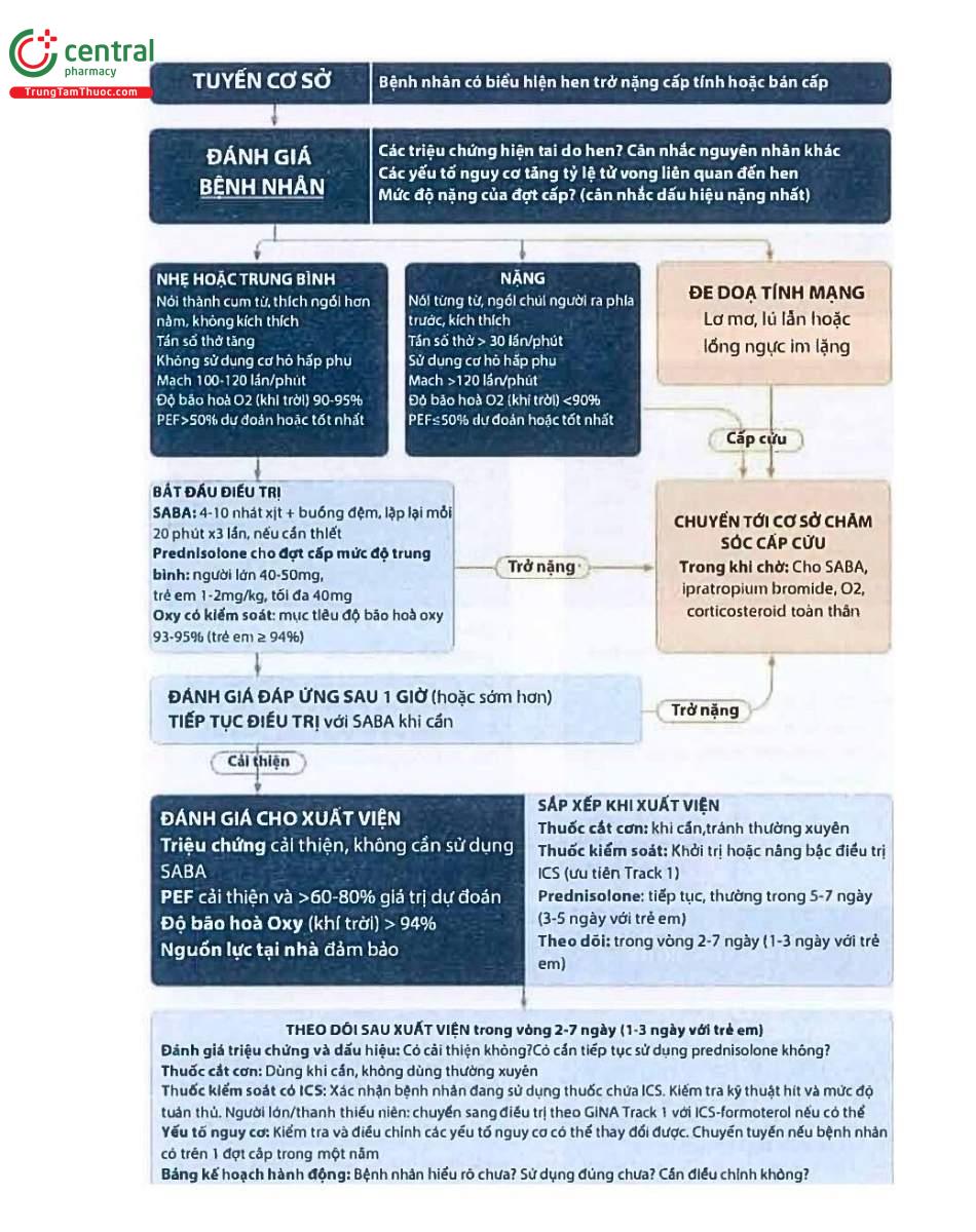 Hình 7: Xử trí đợt cấp hen phế quản ở cơ sở chăm sóc y tế ban đầu (người lớn, thanh thiếu niên, trẻ em 6-11 tuổi)