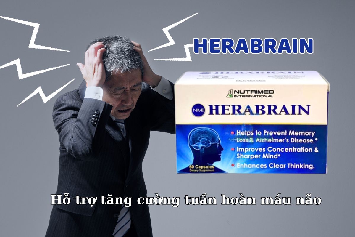 Viên uống HeraBrain hỗ trợ tăng cường tuần hoàn máu não