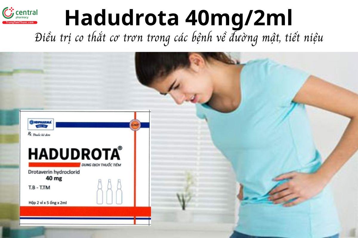 Thuốc Hadudrota 40mg/2ml - Điều trị co thắt cơ trơn trong các bệnh về đường mật