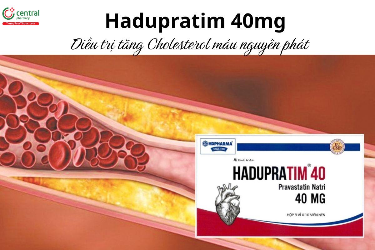 Thuốc Hadupratim 40mg - Điều trị tăng Cholesterol máu nguyên phát 