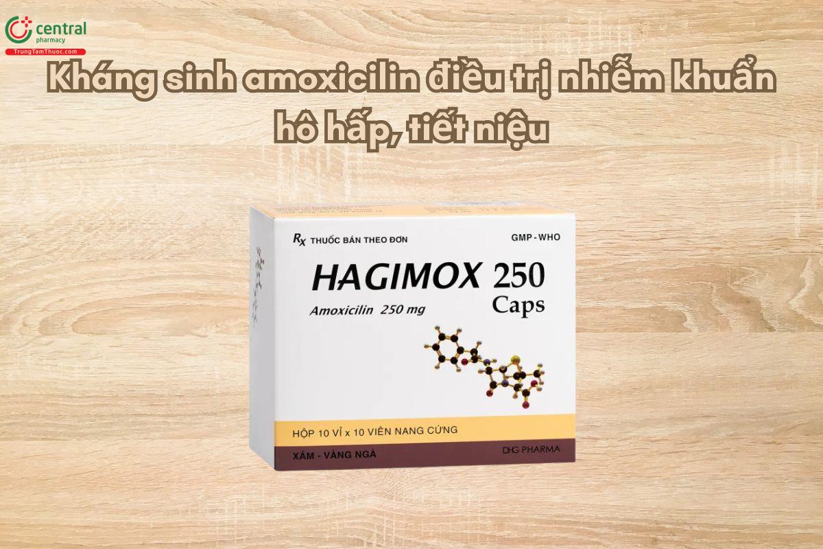 Thuốc Hagimox 250 Caps (xám-vàng ngà) điều trị nhiễm khuẩn hô hấp
