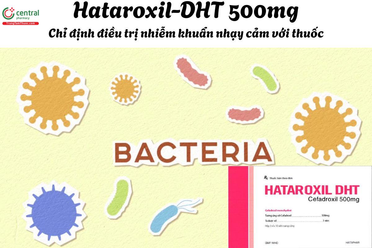 Thuốc Hataroxil-DHT 500mg - Điều trị nhiễm khuẩn do vi khuẩn nhạy cảm