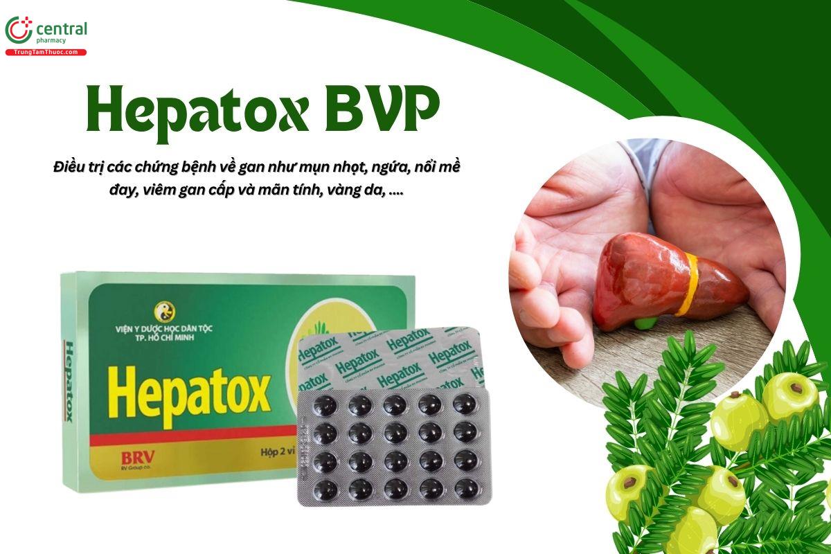Thuốc Hepatox BVP giải độc và phục hồi gan, điều trị bệnh viêm gan