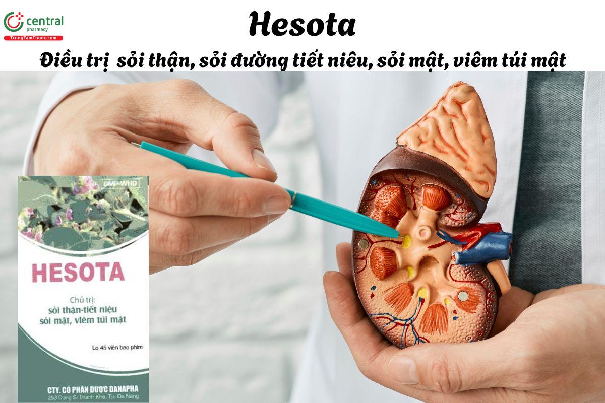 Thuốc Hesota - Điều trị sỏi thận, sỏi tiết niệu, sỏi mật và viêm túi mật