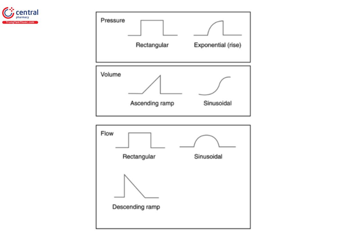 Hình 1: Ví dụ về dạng sóng cho áp lực, thể tích và lưu lượng trong thông khí cơ học. 