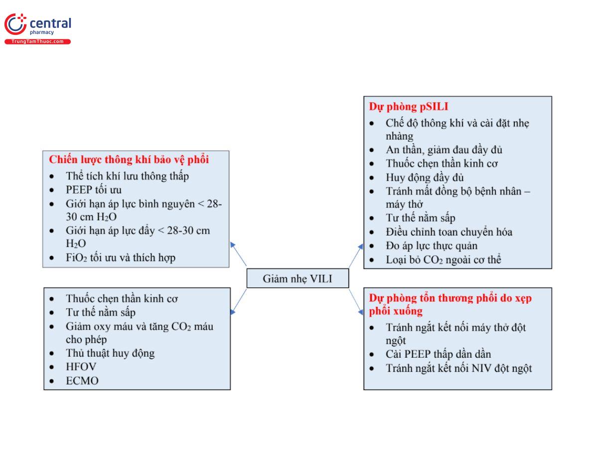 Hình 2: Biện pháp phòng ngừa và điều trị tổn thương phổi do máy thở