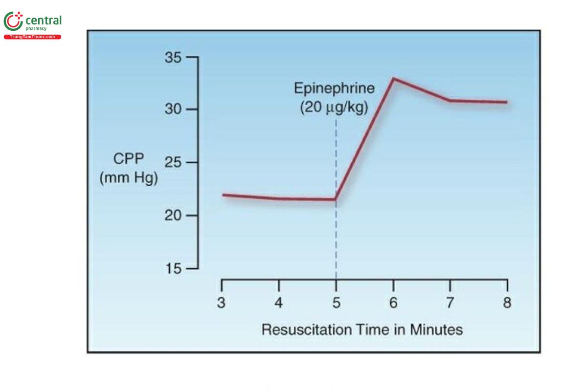 HÌNH 21.3 Tác dụng của epinephrine tiêm tĩnh mạch lên áp lực tưới máu vành (CPP) trong quá trình hồi sức ngừng tim với VF/VT vô mạch. Dữ liệu từ Tài liệu tham khảo 15.