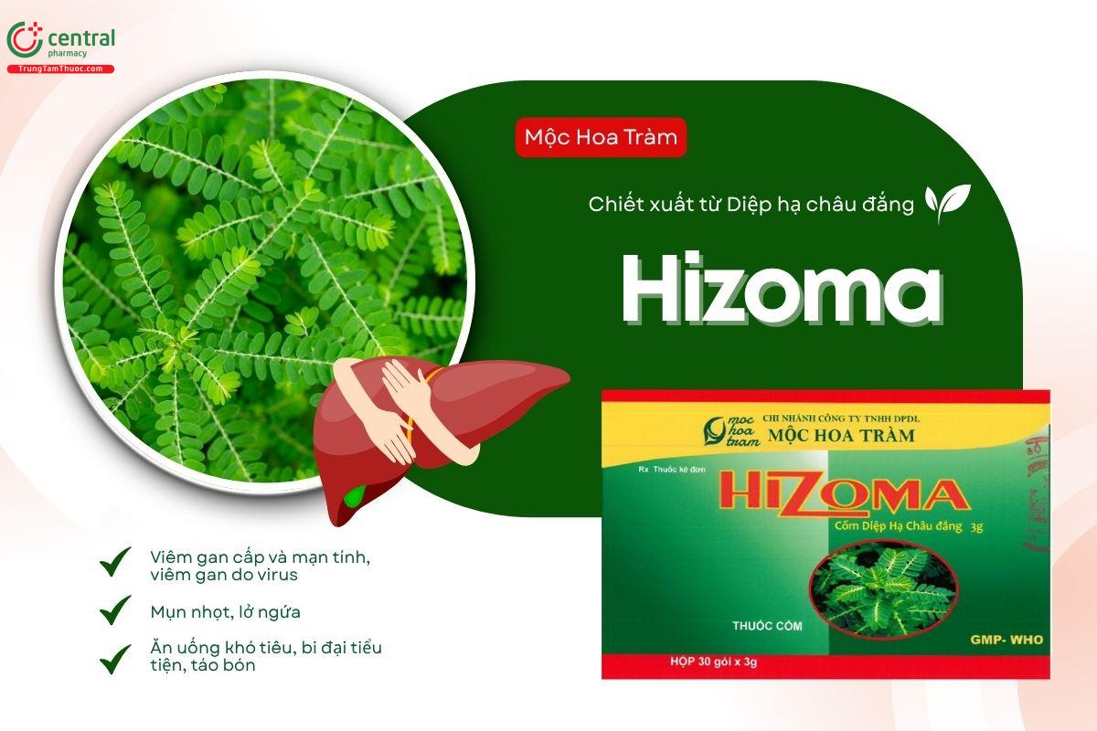 Thuốc Hizoma điều trị viêm gan cấp và mạn tính, viêm gan do virus