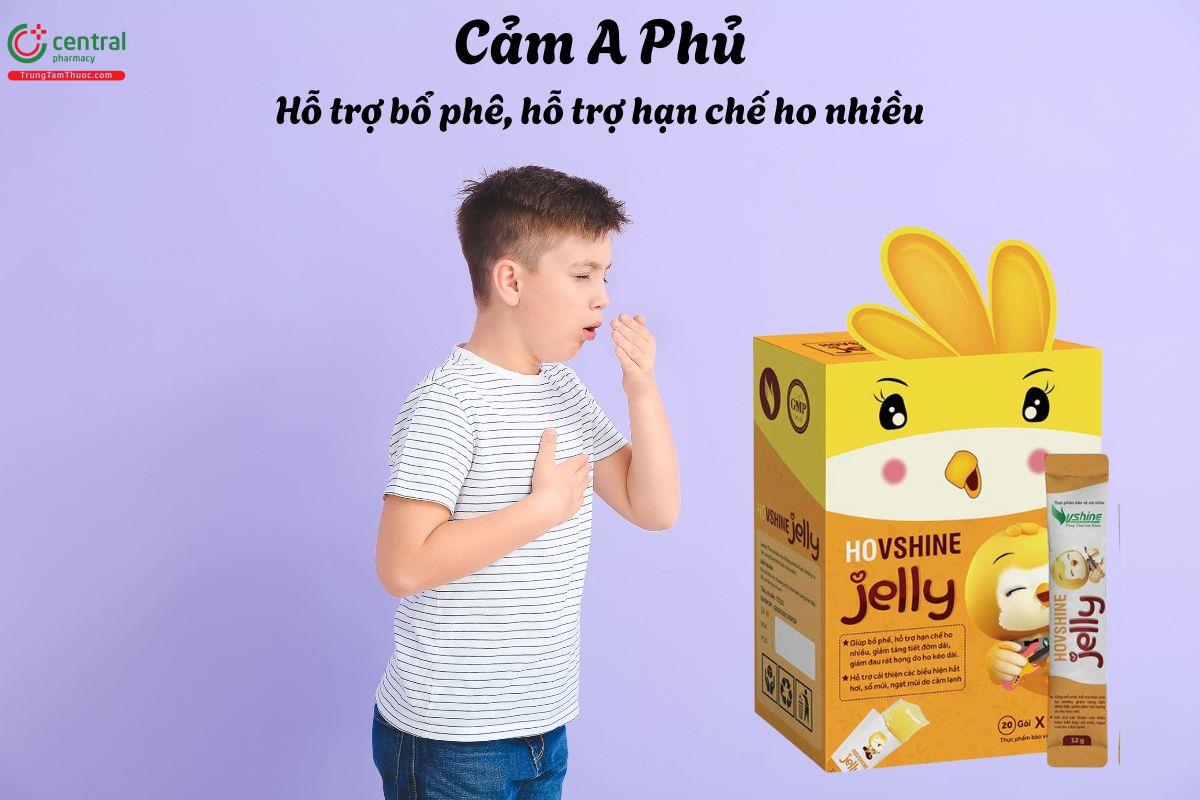 Ho VShine Jelly - Giúp bổ phế, giảm ho, hạn chế sự tăng tiết đờm