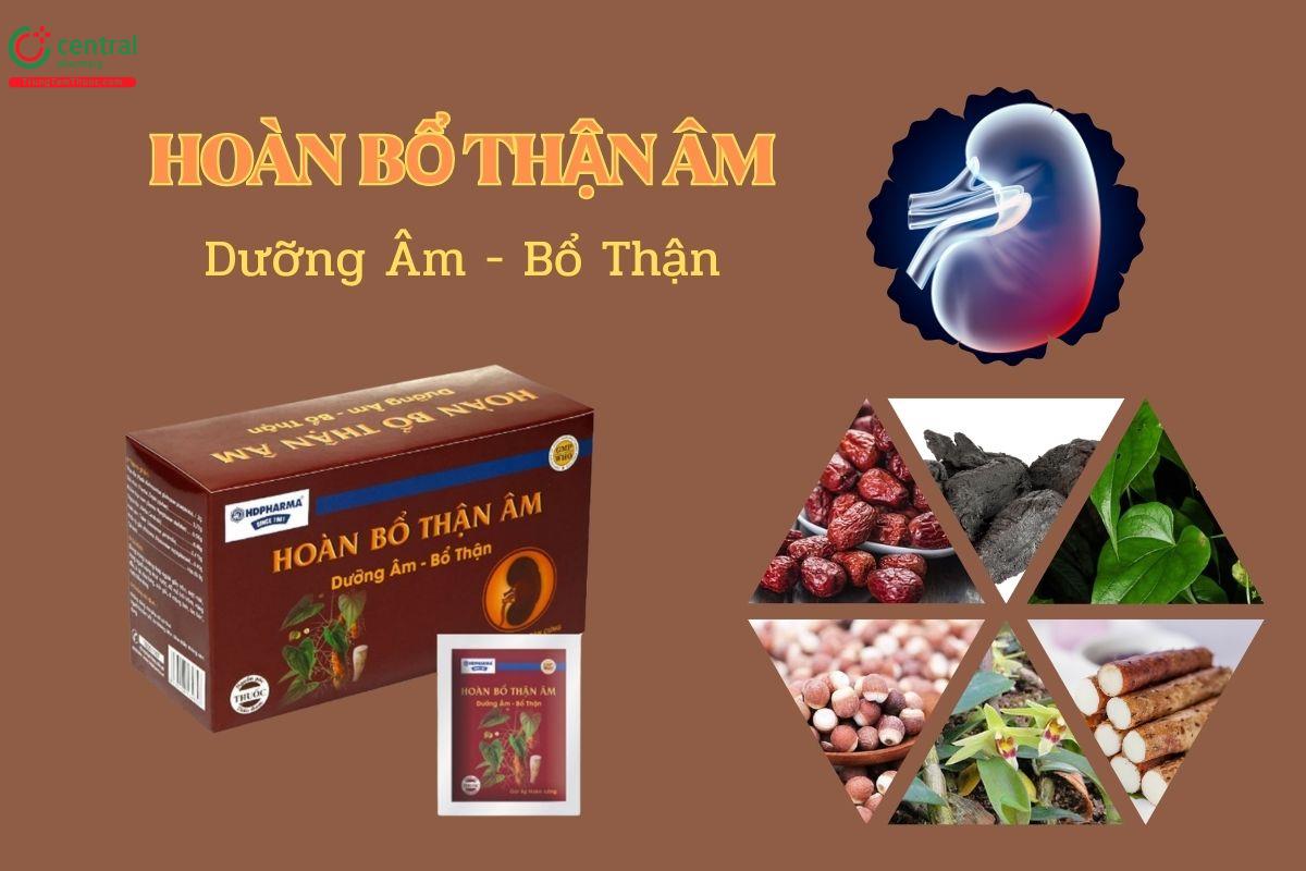 Thuốc Hoàn Bổ Thận Âm HDPHARMA giúp dưỡng âm, bổ thận