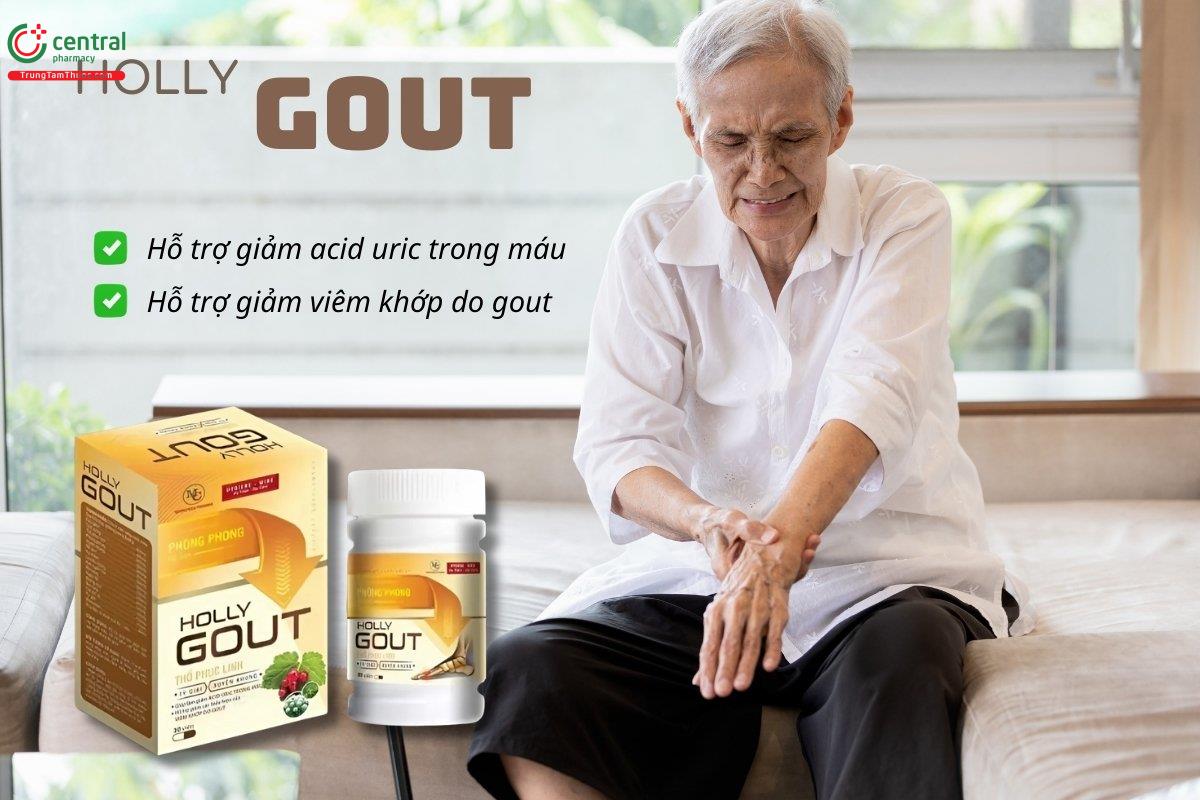 Viên uống Holly Gout Minhchien Pharma hỗ trợ làm giảm nồng độ acid uric trong máu