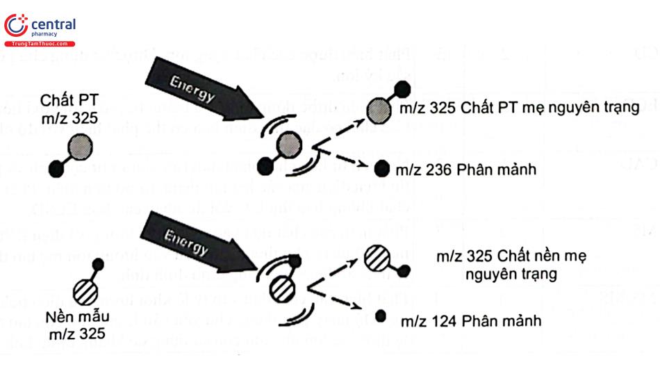 Hình 2.19. Sơ đồ kỹ thuật ghi phổ kiểu SRM