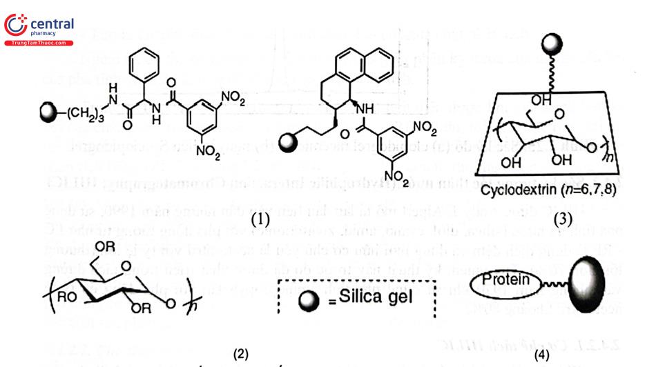 Hình 2.24. Cấu tạo một số nhóm pha tĩnh hoạt quang của cột HPLC 1. Các aminopropylsilan 2. Polysaccarid và dẫn xuất 3. Cyclodextrin và dẫn xuất 4. Protein và dẫn xuất 