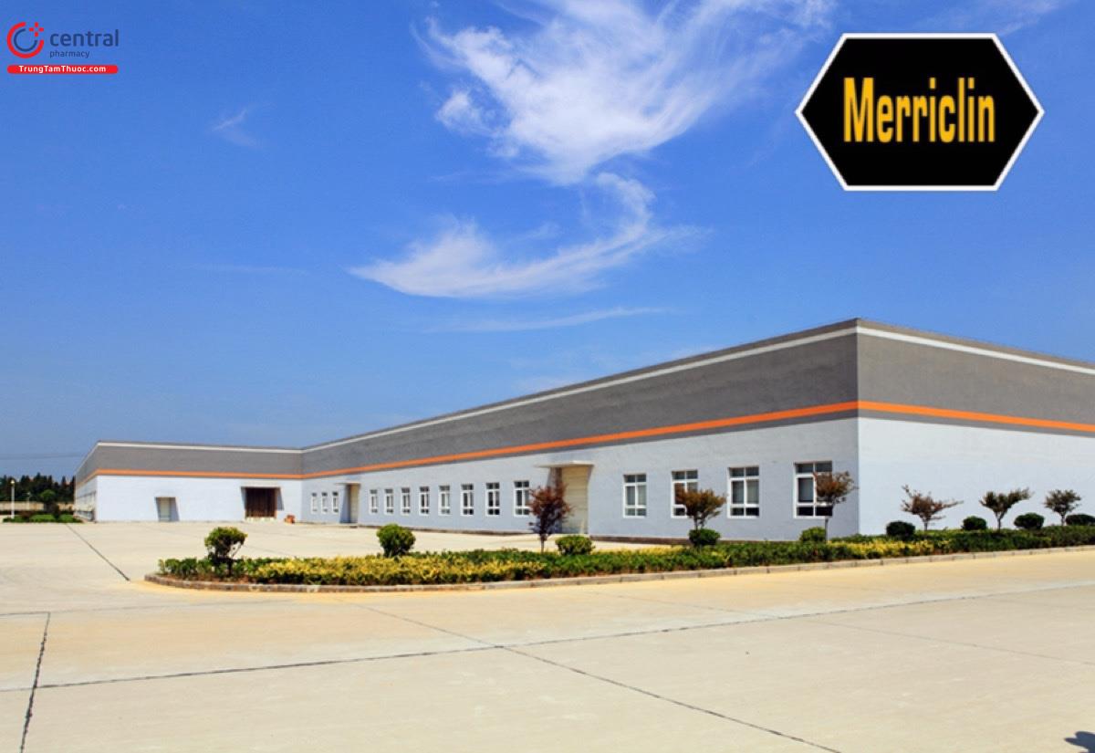 1 nhà máy sản xuất của Hubei Merrill Lynch Pharma