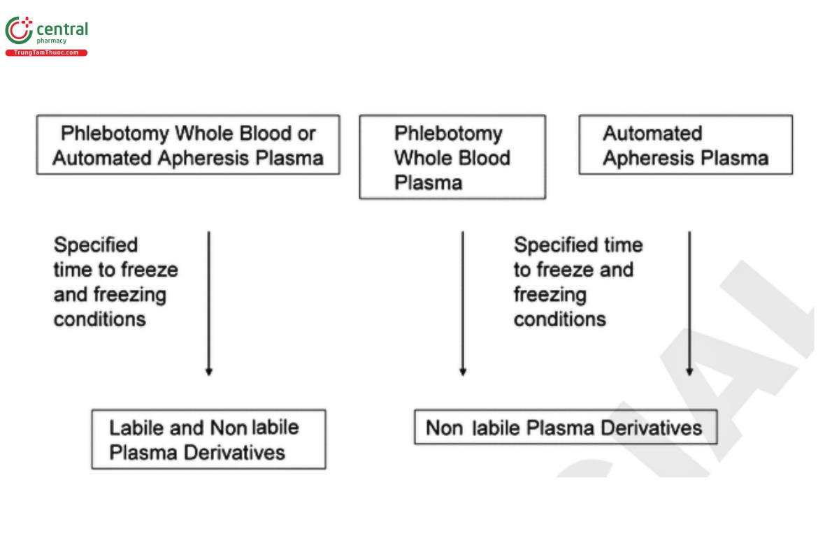 Figure 2. EU plasma derivative manufacture: EU standards.