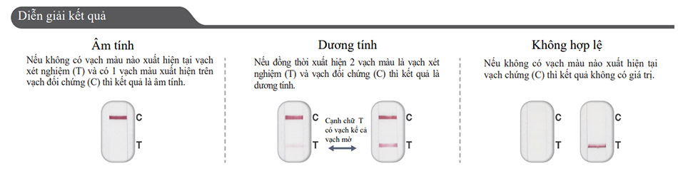 Diễn giải kết quả