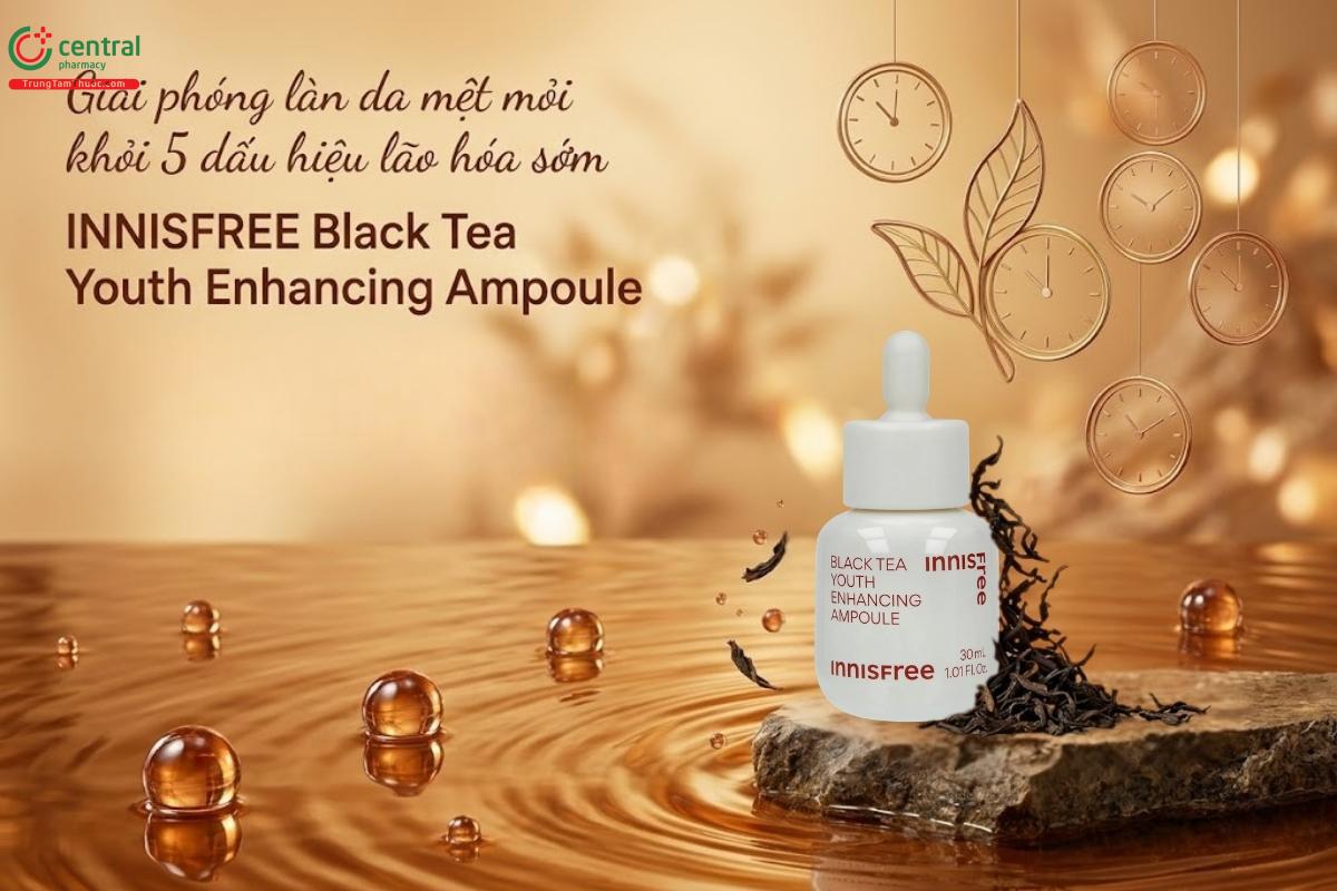 Tinh chất trà đen INNISFREE Youth Enhancing Ampoule giúp làn da tươi trẻ