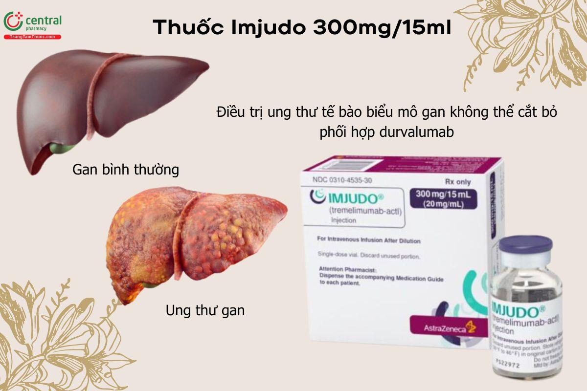 Chỉ định của thuốc Imjudo 300mg/15ml