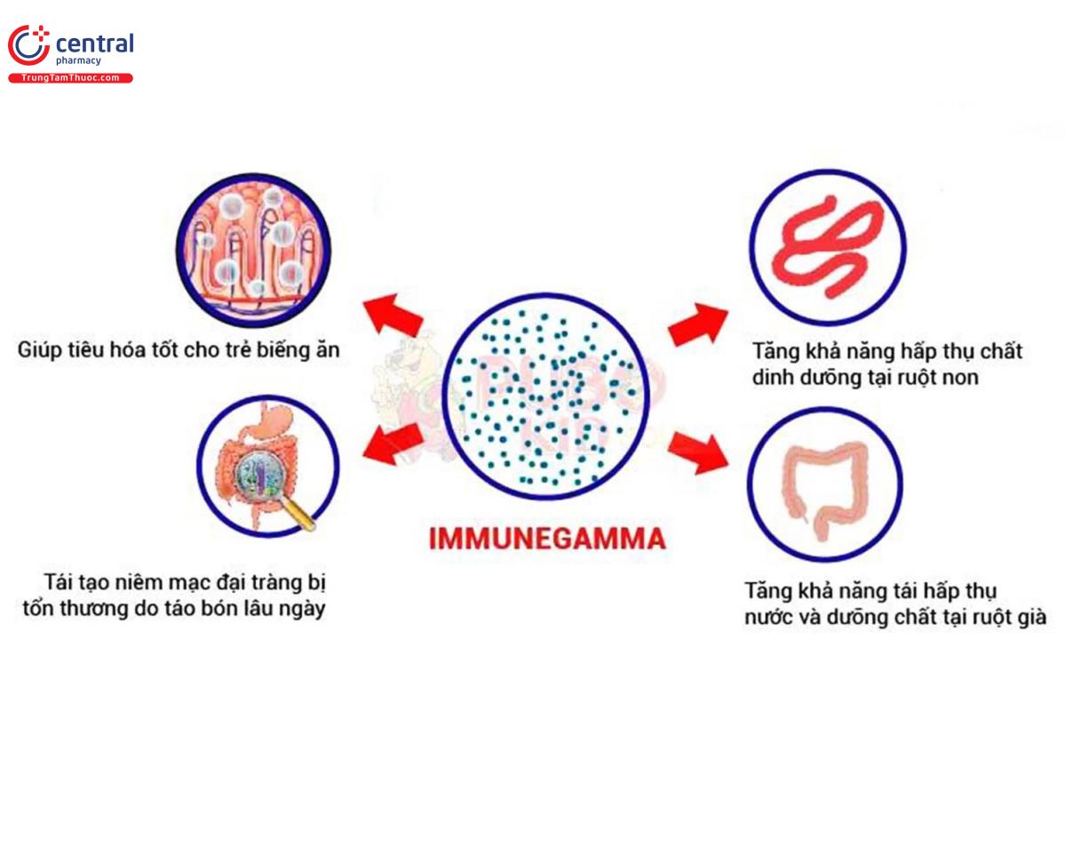 Một số công dụng của Immune Gamma