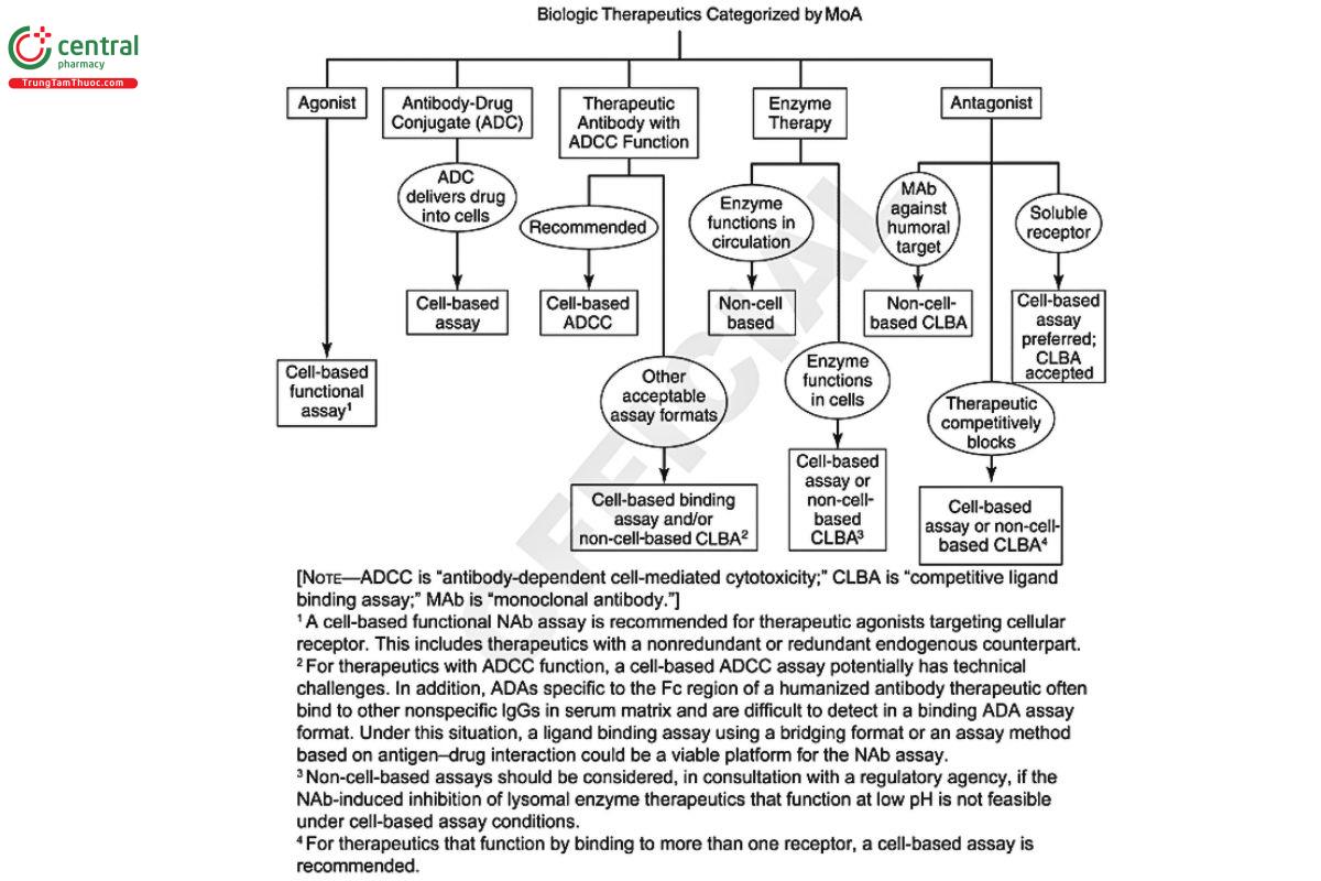 Figure 1. NAb assay format selection examples.