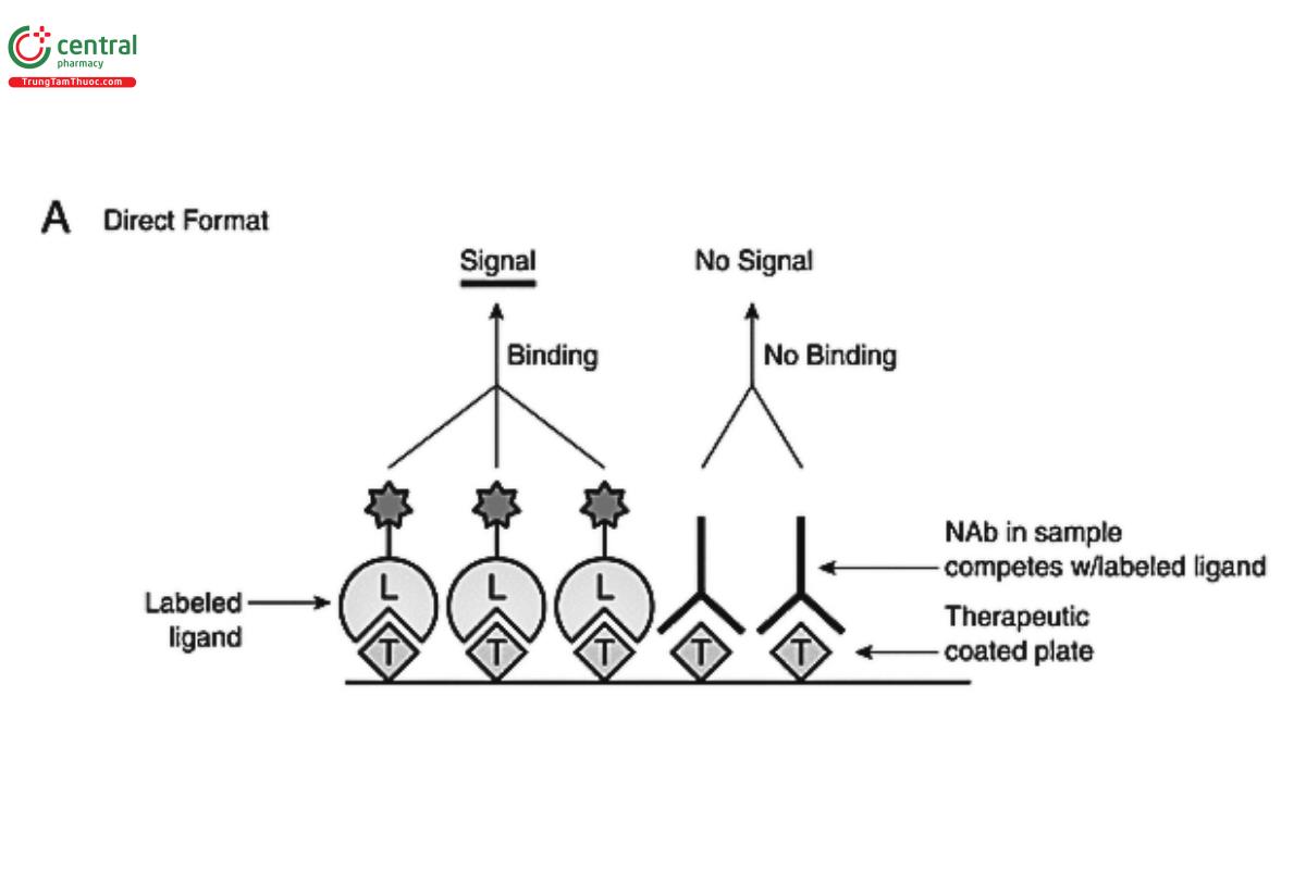 Figure 2A. Direct CLBA format: In this assay format example, the therapeutic product is coated on a plate and serves as a capture molecule to bind to the ligand labeled with a detection molecule (e.g., an enzyme, a fluorescent label, or an ECL label). Binding between the therapeutic and the ligand is inhibited when NAb is present in test samples, resulting in a lower signal. "T" represents "therapeutic product" and "L" represents "ligand."