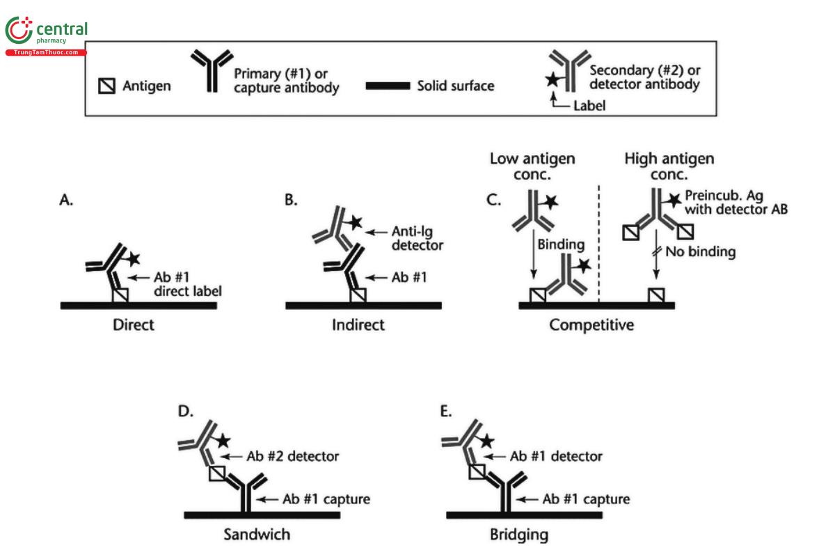 Figure 2. Schematic representations of direct, indirect, competitive, sandwich, and bridging ELISAs.2 [Ab = antibody; Anti-Ig = anti-immunoglobulin; Ag = antigen (or analyte); Conc = concentration; Preincub = preincubation]