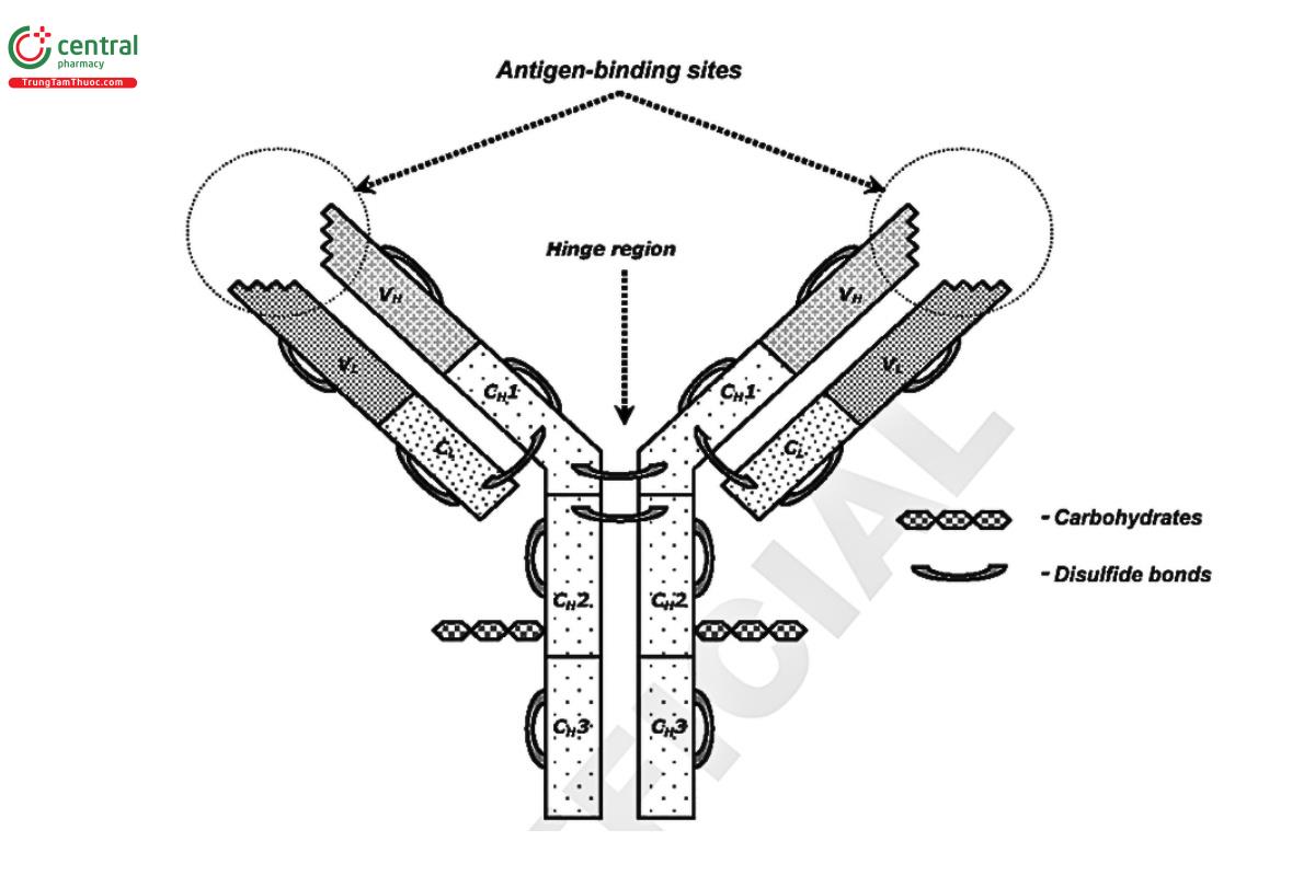 Immunological Test Methods—General Considerations