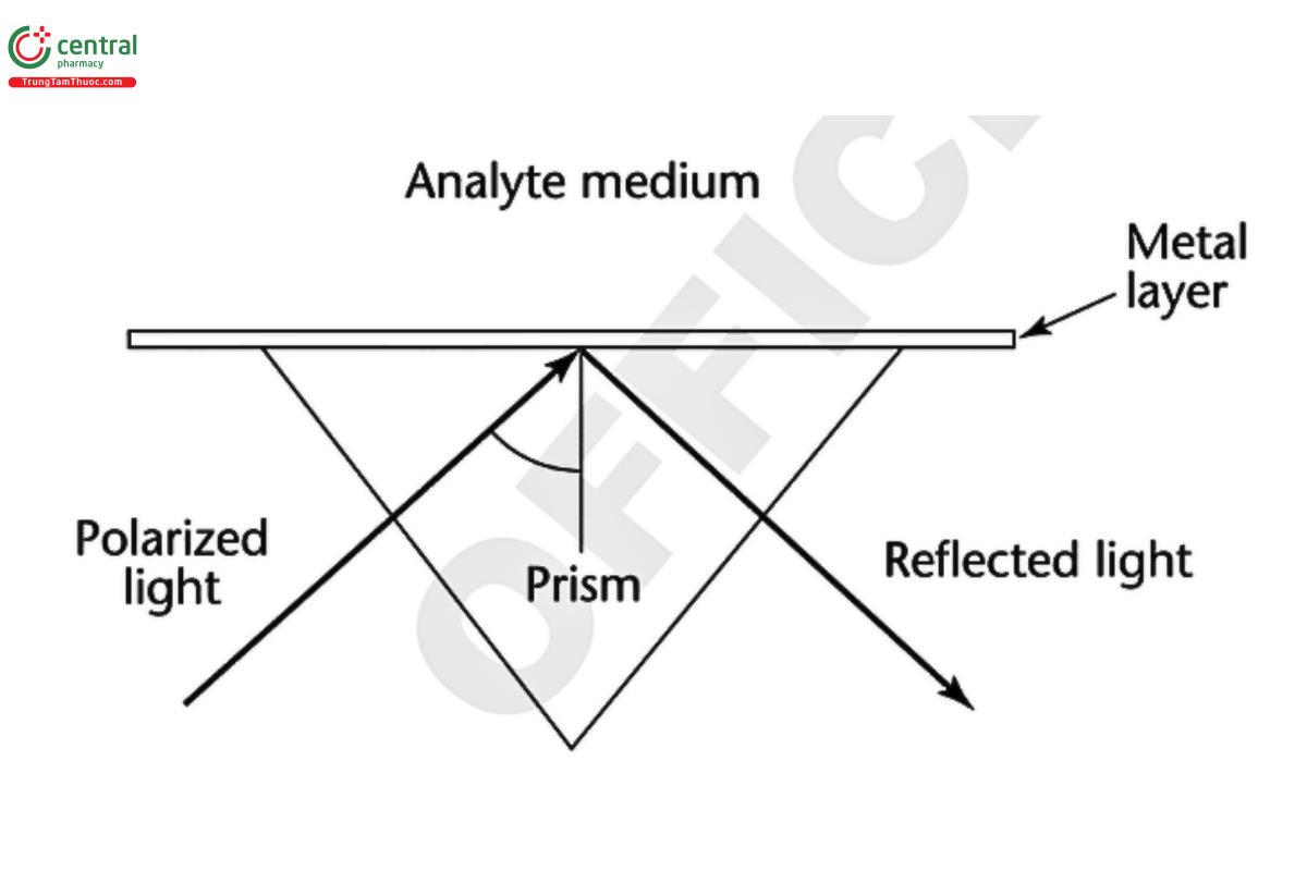 Figure 2. Kretschmann SPR configuration.