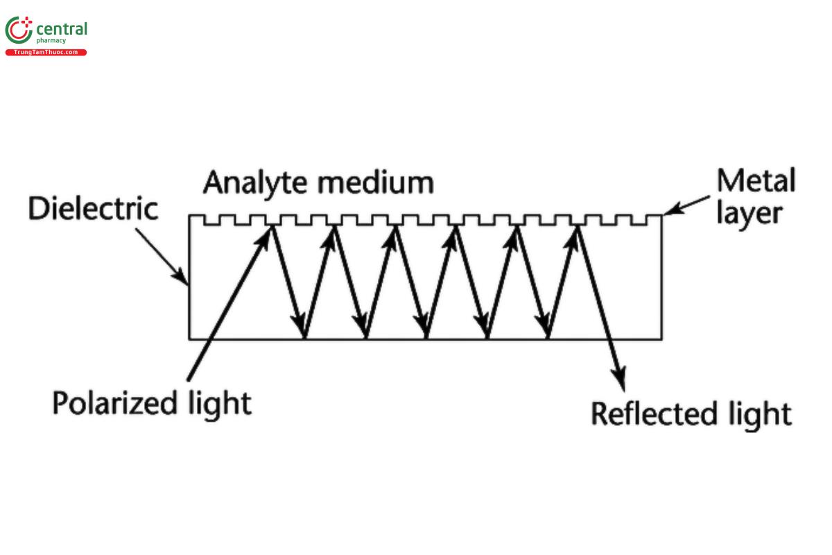 Figure 3. Diffraction grating SPR configuration.