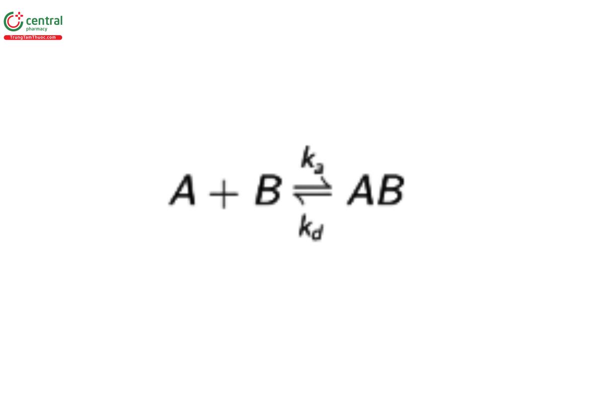 Immunological Test Methods—Surface Plasmon Resonance