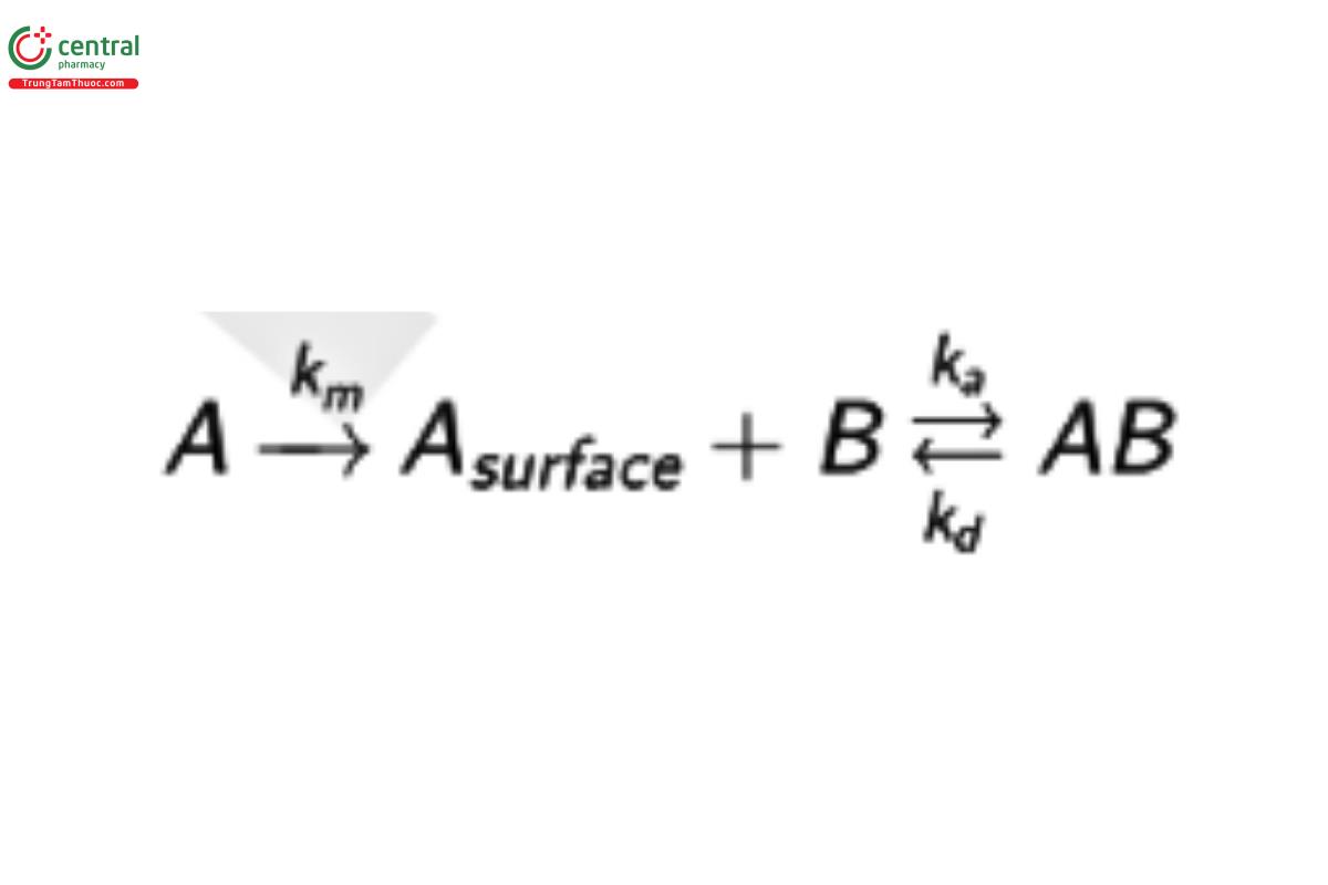 Immunological Test Methods—Surface Plasmon Resonance